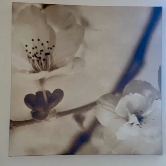FLORA MAIA PICTURE SET IKEA PJATTERYD 22”x22”x 2"  Cherry Blossom Canvas - Picture 1 of 6